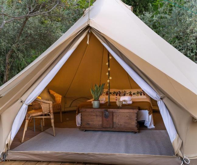Raella Camp - Oeland Hotel Borgholm Ngoại thất bức ảnh
